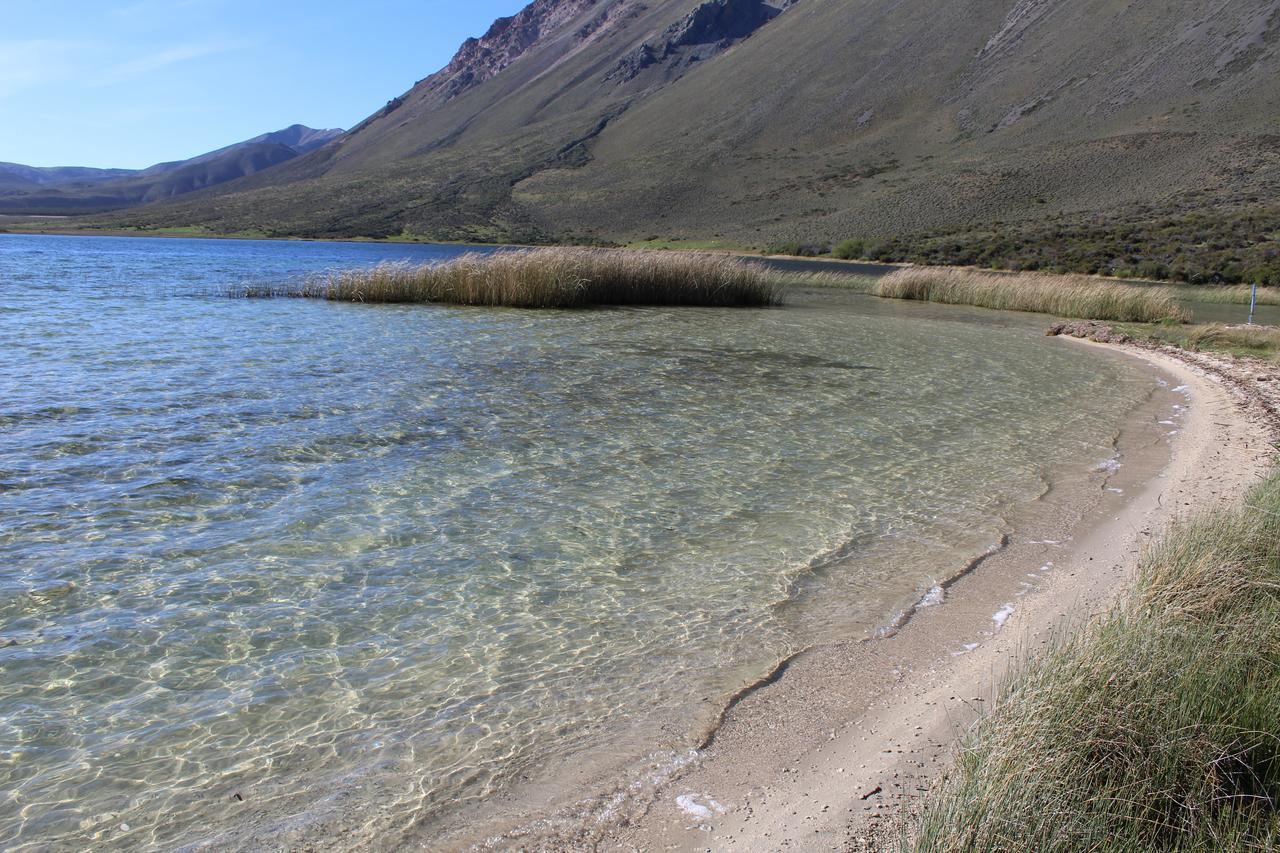 Maitenes Del Percy Trevelin Exterior photo